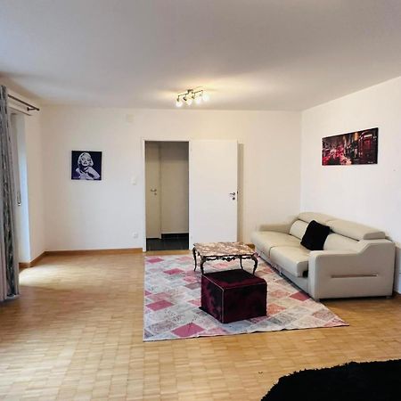 Apt Near Basel Centre And Airport Hotel Buitenkant foto
