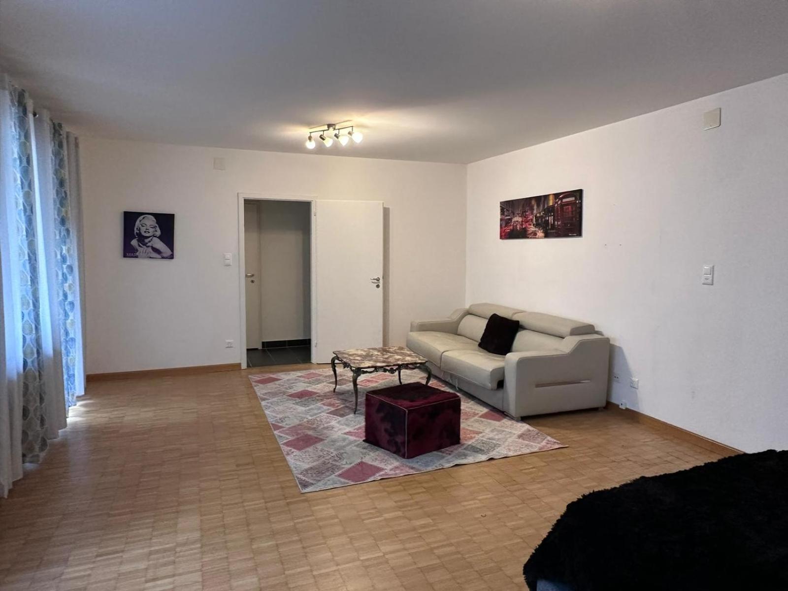 Apt Near Basel Centre And Airport Hotel Buitenkant foto