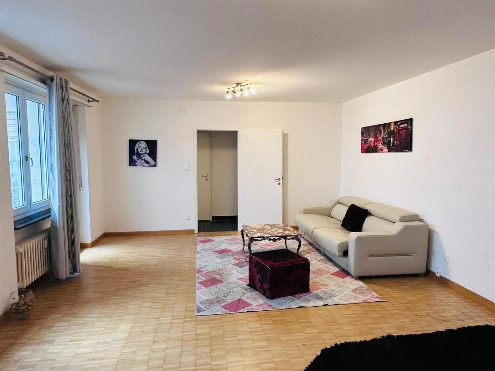 Apt Near Basel Centre And Airport Hotel Buitenkant foto