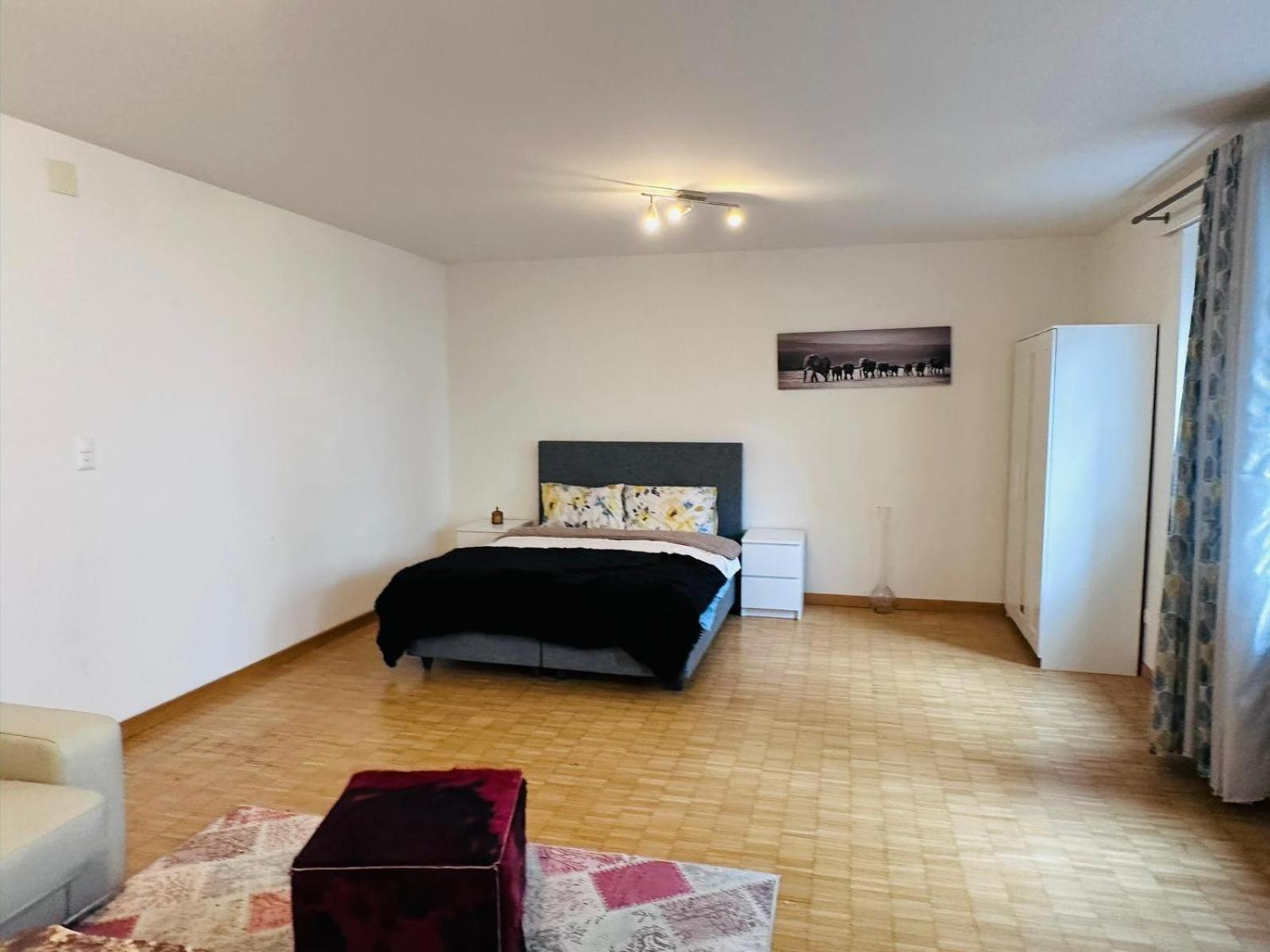 Apt Near Basel Centre And Airport Hotel Buitenkant foto