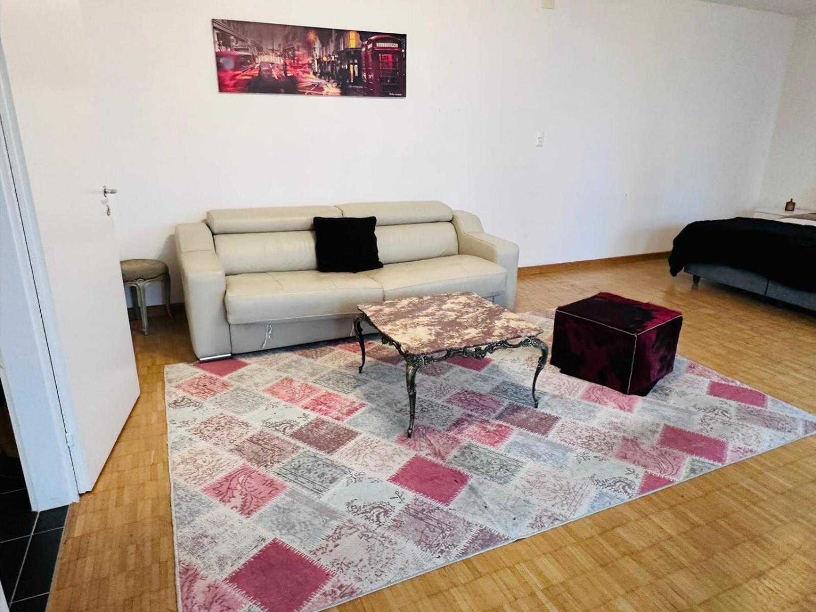 Apt Near Basel Centre And Airport Hotel Buitenkant foto